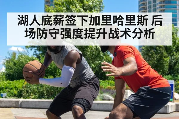 湖人底薪签下加里哈里斯 后场防守强度提升战术分析
